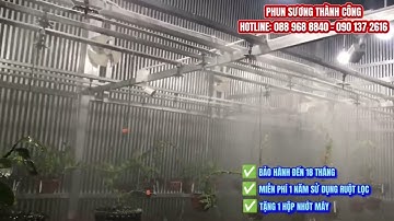 🌿 HỆ THỐNG TƯỚI PHUN SƯƠNG CHO VƯỜN LAN – GIẢI PHÁP HIỆU QUẢ, GIÁ RẺ! 🌿