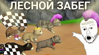 Гонка в Cat simulator animal life