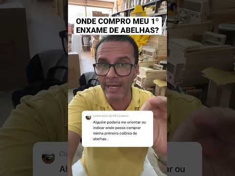 Vídeo: Como orientar as abelhas?