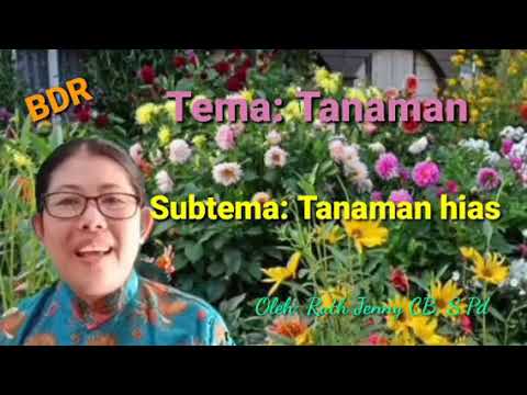  BDR  Tema  Tanaman  Subtema Tanaman  hias  YouTube