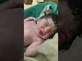 #newbornbaby #baby #justbirth #youtubeshorts #viralvideo #shorts baby just delivery