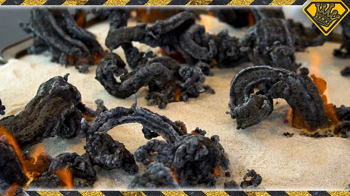 Fire Snake Experiment! TKOR Dives Into How To Make Black Carbon Fire Snakes