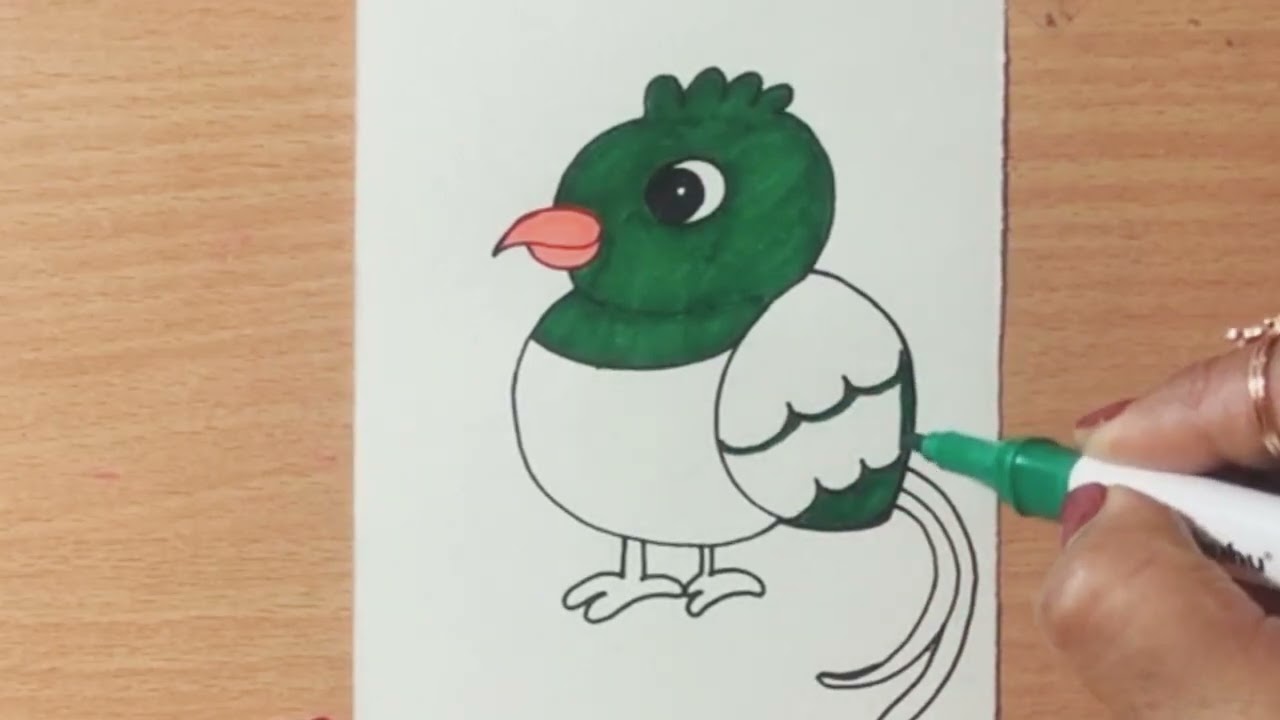 How to draw cute bird 🐦 || Easy drawing step by step 