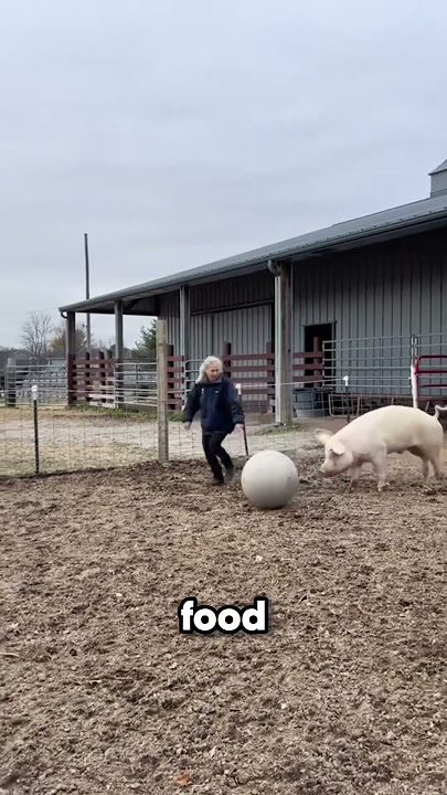 Would You Do The Same?❤️ #rescue #animals #saveanimals #trending