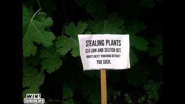 Microsoft Sam Reads Funny Error Messages And Signs Episode 10 Finale