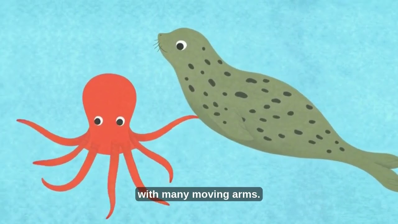 Who’s Behind Me Sea Friends 🌊 | Children’s Ehon Story | Learn Positions & Friendship