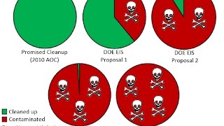 Analysis of the Dept. of Energy's Draft Environmental Impact Statement for SSFL