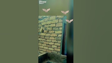 قرآن كريم #اكسبلور #القزابري #قرآن_كريم #duet #المصحف #دويتو #beautiful #unfrezzmyaccount