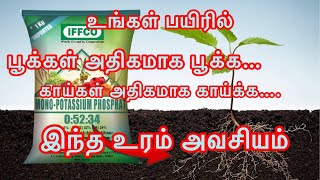 MKP(0:52:34)சொட்டுநீர் உரம் பற்றிய விளக்கம்||அதிக மகசூல் பெற இந்த உரம் போதும்#MKPfertilizer