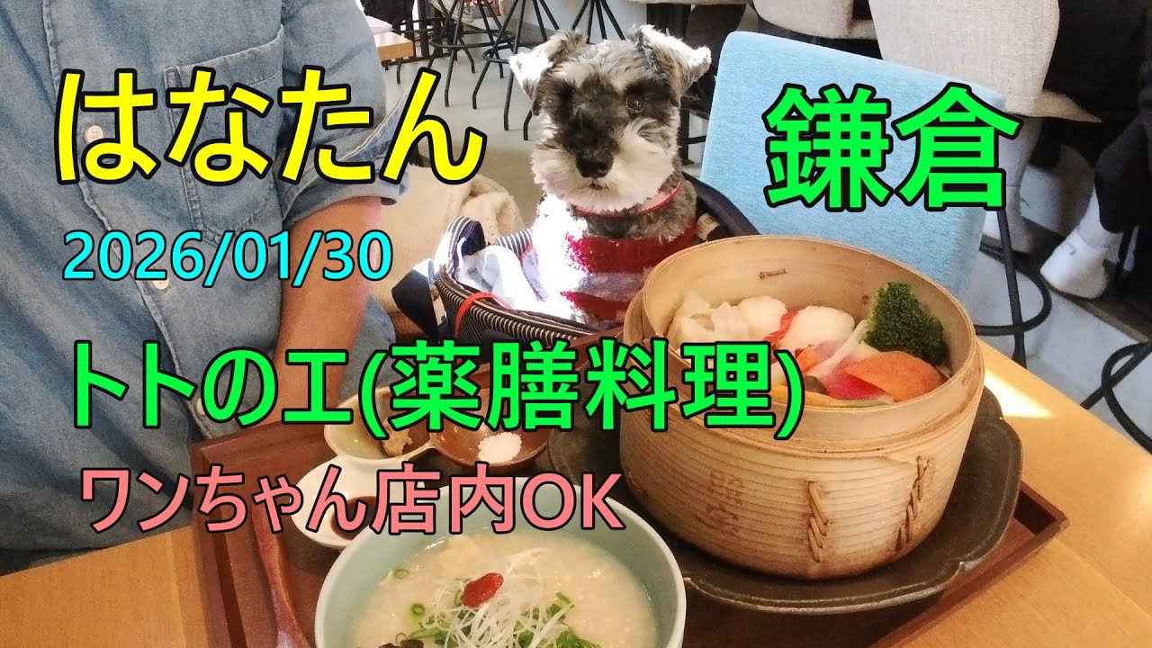 鎌倉 砂浜お散歩と「トトのエ」薬膳料理