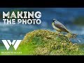 Making the photo: the difference between photographers and enthusiasts