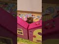 【#Shorts】ようこそ我が家へ