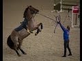 Виктория &amp; Хазрет, Анастасия &amp; Бакс / CSKA Equestrian School