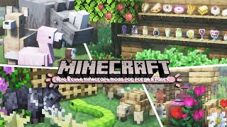 aesthetic and cute minecraft mods to improve and make your world amazing! 1.18.2 fabric & forge screenshot 5