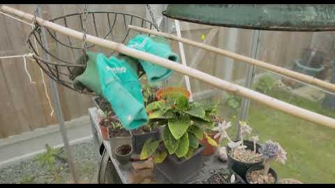 Syntheyes Camera Tracking & Fusion/Mocha Pro Roto Practice