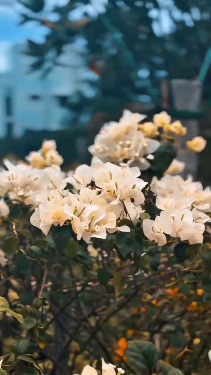 💞Feel My Love💖 - ShareChat