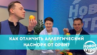 Как отличить аллергический насморк от ОРВИ?
