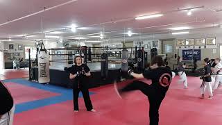 Shidokan Karate workout (3)