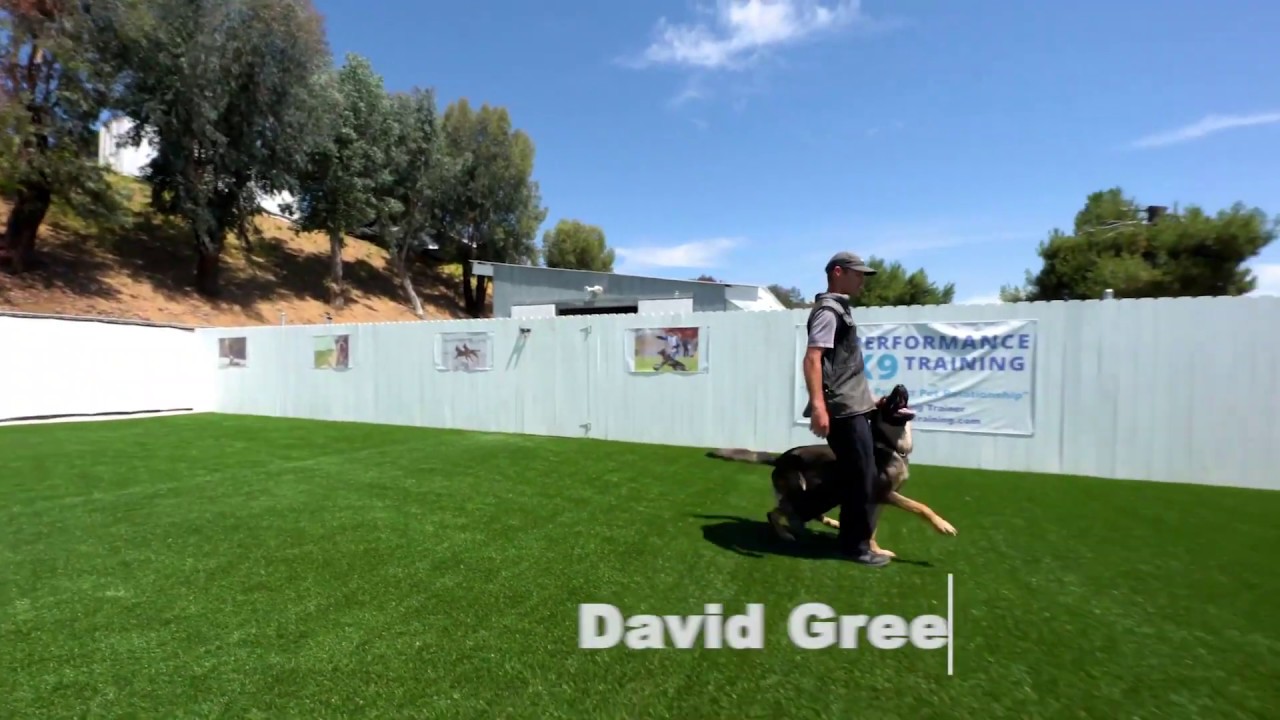 k9 training centre and kennels