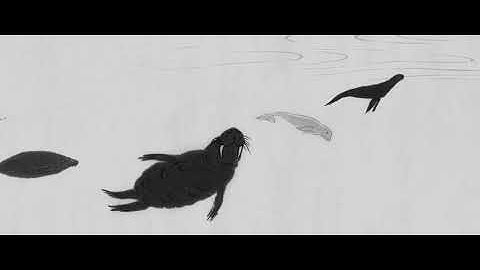 ホッキョクグマすっごくひま 予告編 | Polar Bear Bears Boredom trailer