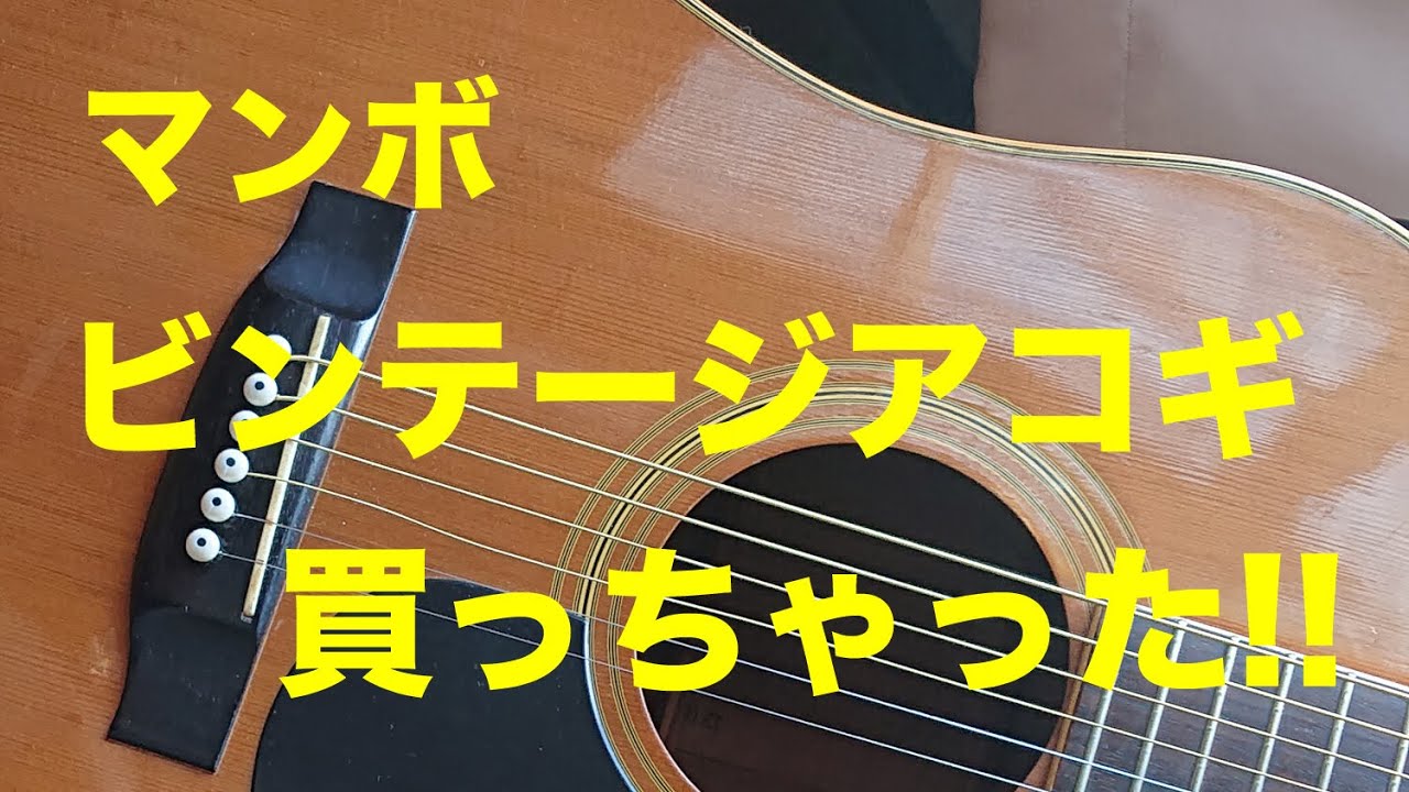 ヤマキ Yamaki W-120】マンボ ビンテージアコギを買った / GT750 咆哮