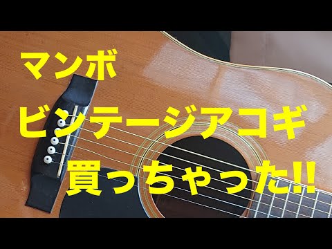 ヤマキ Yamaki W-120】マンボ ビンテージアコギを買った / GT750 咆哮