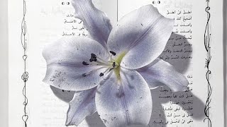 Mikasa Ackerman irl subliminal [ ug subliminal ]