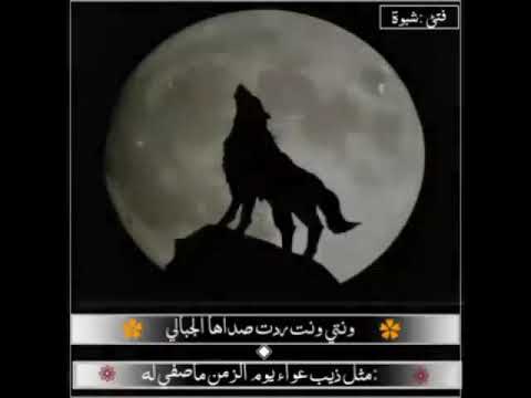 ونتي ونت ردت صداها الجبالي