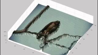 relative depth from a single camera - example 7