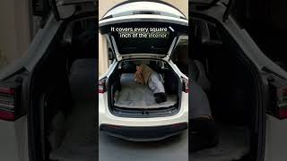 Is It Comfortable To Sleep In A Tesla?