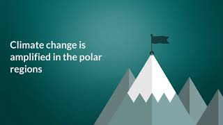Climate Change Short Animation Video