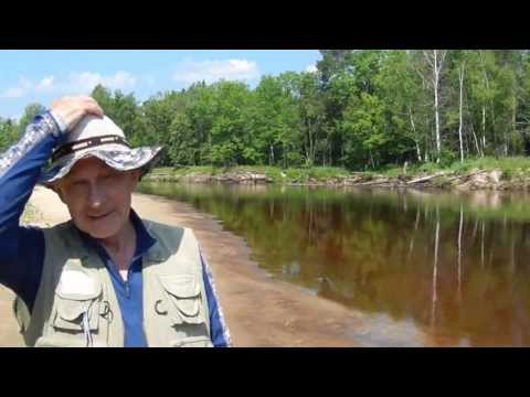 Щуку жалко - речка красивая. Добычливая ловля щуки на колеблющиеся блёсны - поймал -отпустил Щуку жалко - речка красивая. Добычливая ловля щуки на колеблющиеся блёсны - поймал -отпустил