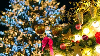 Stuttgart Christmas Market 2025 - Sony A6700, Sigma 30mm f/1.4