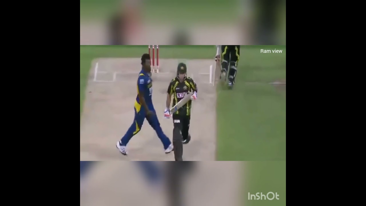 Top 10 high voltage fight in cricket players