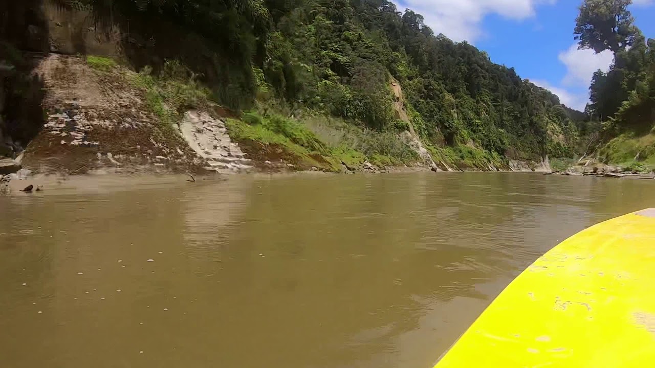 Jetboat ride down Wanganui river from Bridge to Nowhere