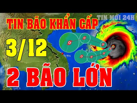 Tin bão Mới