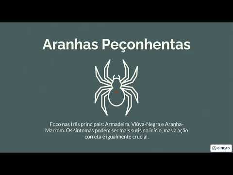 Aula 41 - Primeiros Socorros