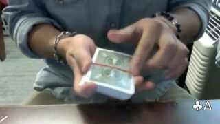 Masa Magic-The Trained Rubber Band