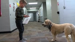 Meet KC, a therapy dog at a Grain Valley elementary School bringing joy