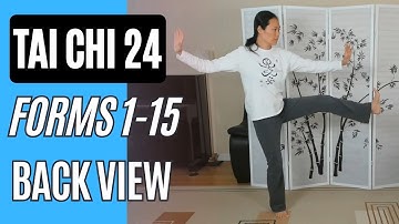 Tai Chi 24, Forms 1-15 Back View to Turn & Kick with Left Heel