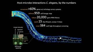 TAGC Microbiome Workshop 2020