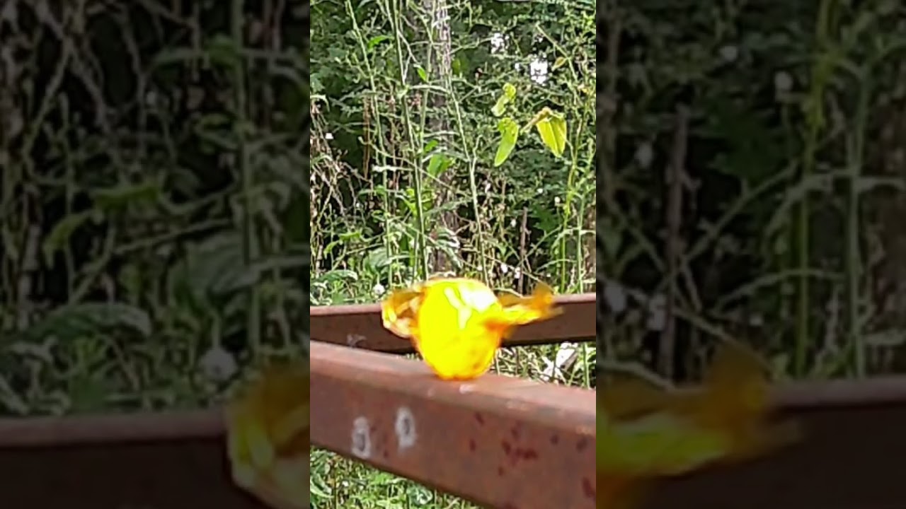 Full video below ⬇️ 