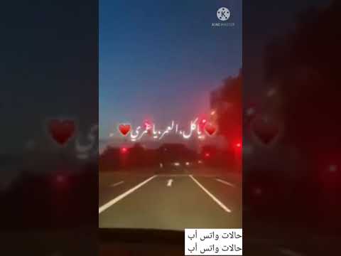 حالات واتس أب ياكل العمر ياعمري هاني شاكر