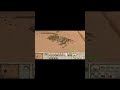 RTW battle shorts | pt 7 #rometotalwar #totalwar #gaming