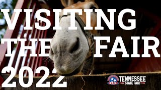 Everything the Wilson County Fair - Tennessee State Fair Has to Offer