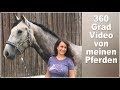 360 Grad Video von meinen Pferden - QualitätsFAIL
