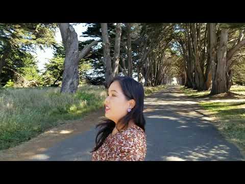 Video: Cypress - cog thiab saib xyuas