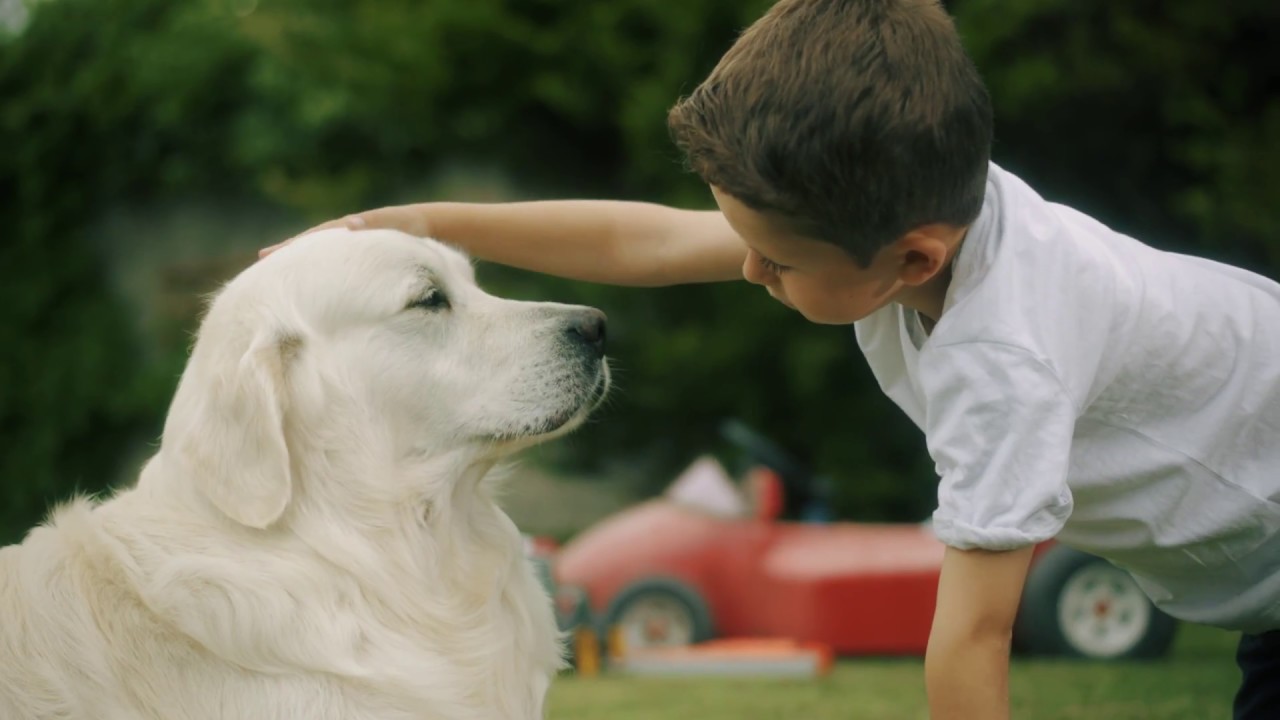 Bold Move // Alliance Worldwide Care