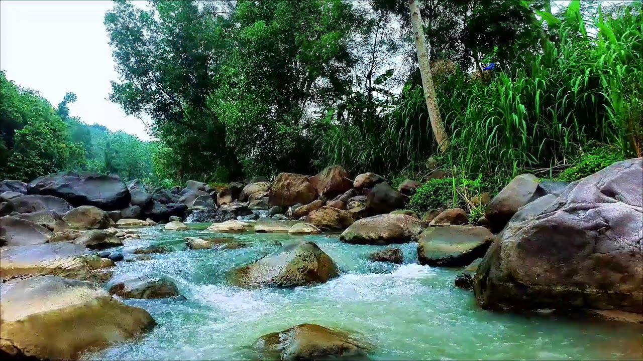 Flowing River Sounds for Rest – 12H Natural Water Ambience