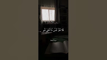 اكتب شيء تؤجر عليه 😴🩶 اذكر الله يذكرك #قران كريم بصوت القارئ عبد الرحمن مسعد
